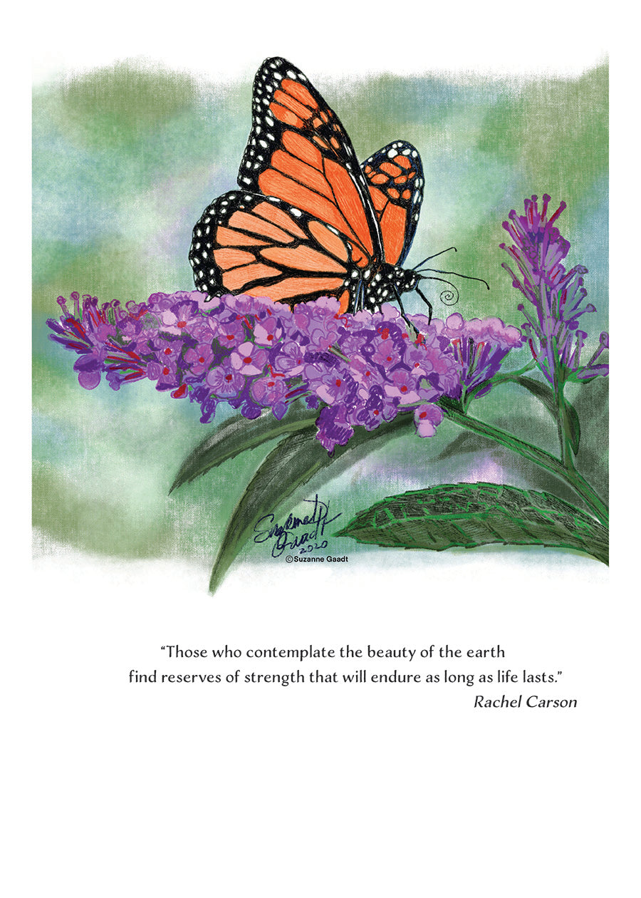 Monarch Butterfly Wildlife Portrait