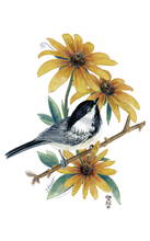 Load image into Gallery viewer, Chickadee with Black-eyed Susan