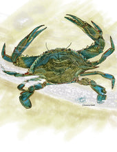 Load image into Gallery viewer, Crab Wildlife Portrait