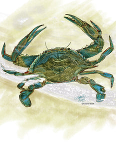 Crab Wildlife Portrait