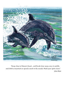 Dolphins Wildlife Portrait