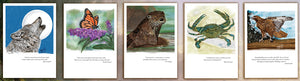 Wildlife Card Sets