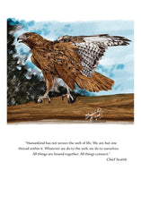 Load image into Gallery viewer, Hawk Wildlife Portrait