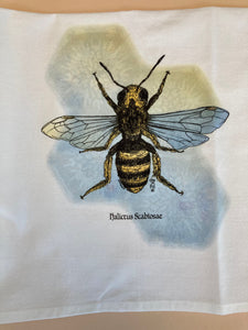 Native Bee Honeycomb