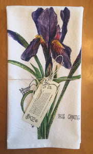 Iris Botanical Art
