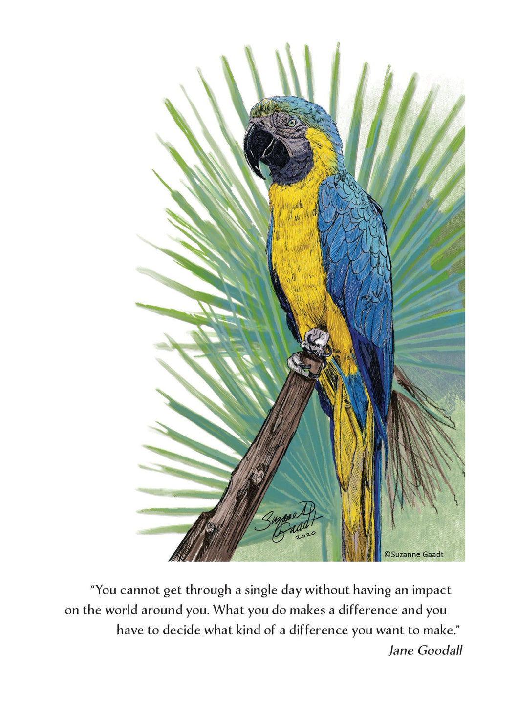 Macaw Wildlife Portrait