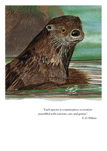 Otter Wildlife Portrait