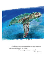 Load image into Gallery viewer, Sea Turtle Wildlife Portrait