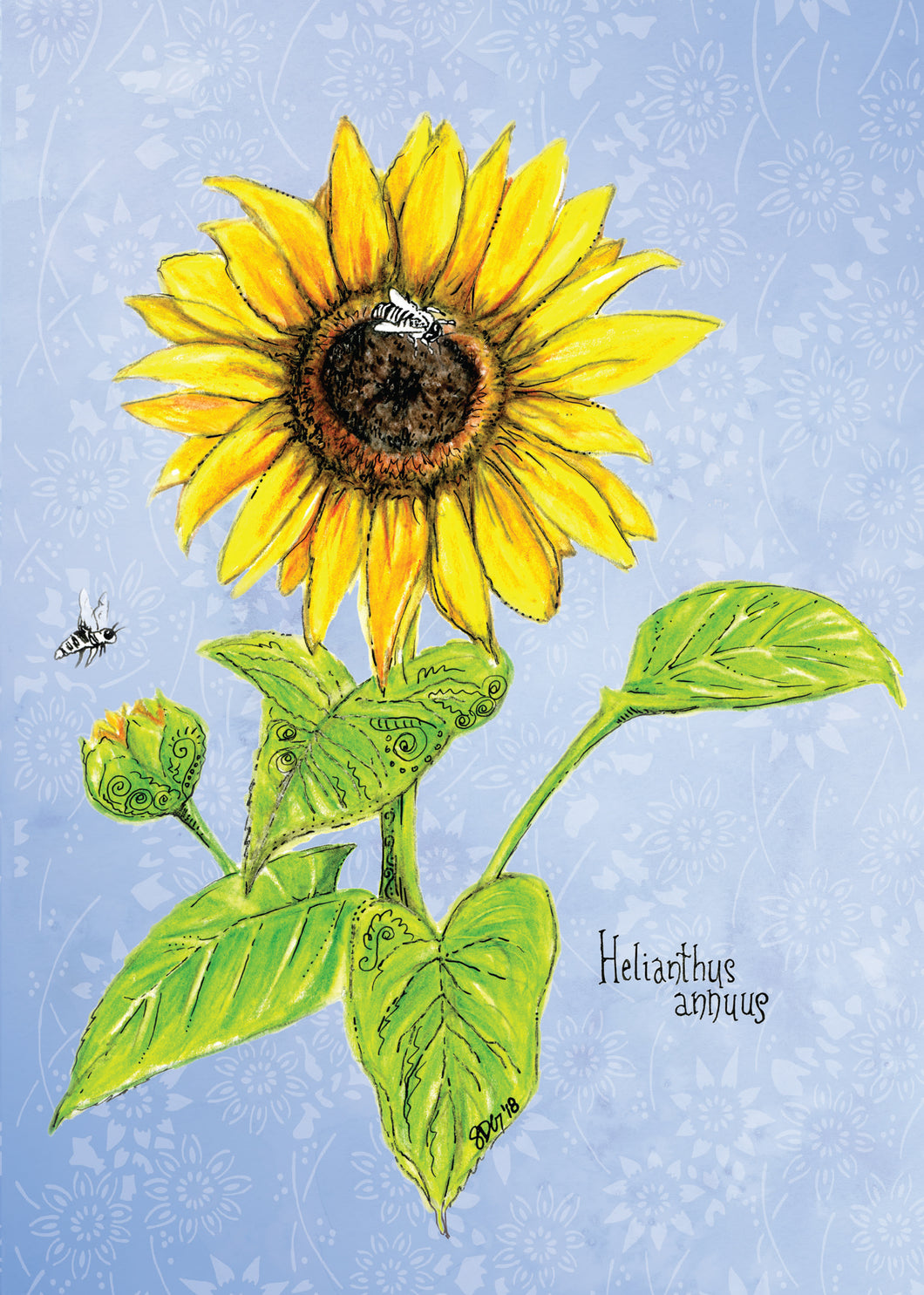 Sunflower Botanical Art