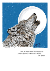 Wolf Wildlife Portrait