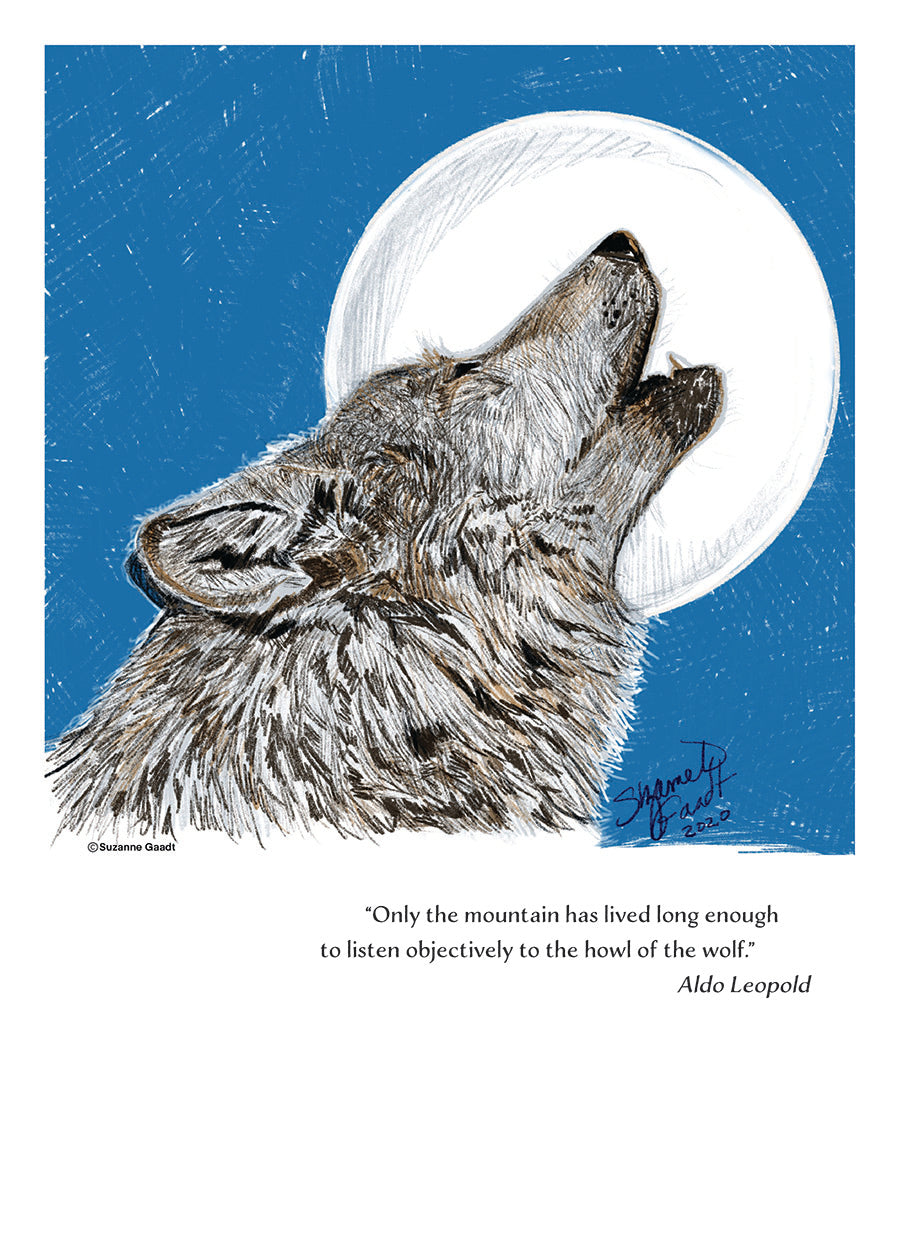 Wolf Wildlife Portrait