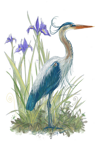 Great Blue Heron with Wild Iris