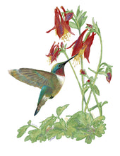 Load image into Gallery viewer, Hummingbird with Columbine