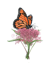 Load image into Gallery viewer, Monarch Butterfly on Milkweed