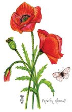 Load image into Gallery viewer, Poppy Botanical Art