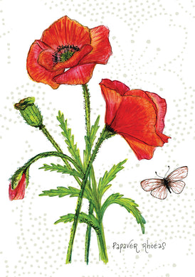 Poppy Botanical Art