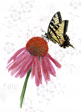Tiger Swallowtail Butterfly with Coneflower