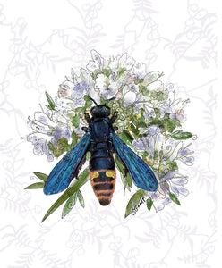 Blue-winged Wasp with Mountain Mint