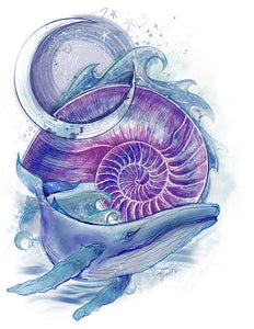 Whale & Nautilus